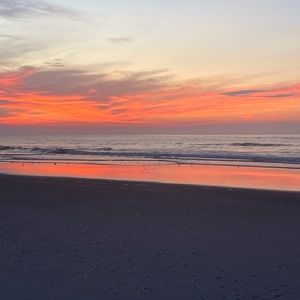 Meet your Posher, Riley